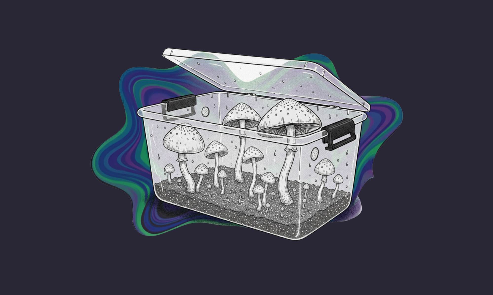 Autocultivo